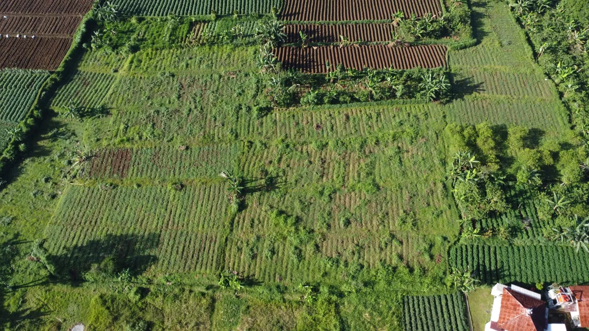 Birdview kavling Cibening Pamijahan Bogor 5